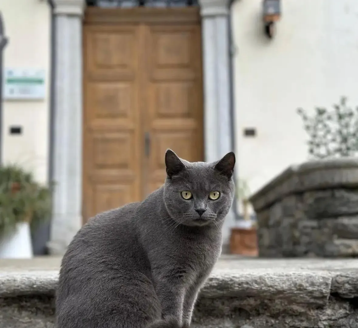 Bed & Breakfast B&B La Dolce Casa Lago Di Como Cremia